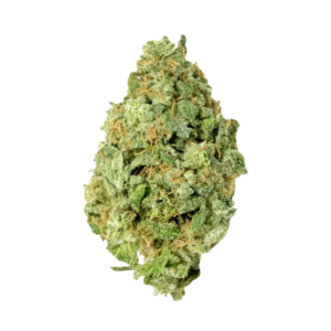 white widow strain white widow strain