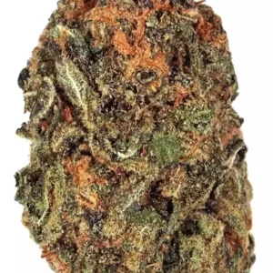 white widow strain white widow strain